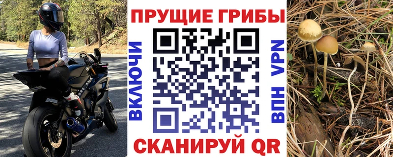 цена наркотик  Тюкалинск  блэк спрут вход  Псилоцибиновые грибы мицелий 